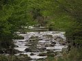 (35)2008 Mont Gerbier des Joncs